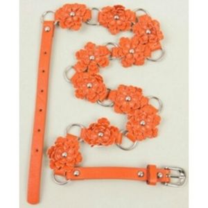 Orange Linked Flower Belt